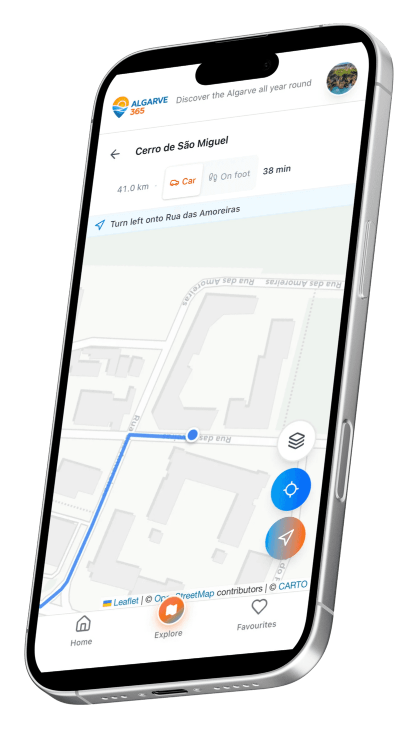 Interactive Maps